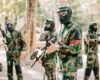 activité evg painball